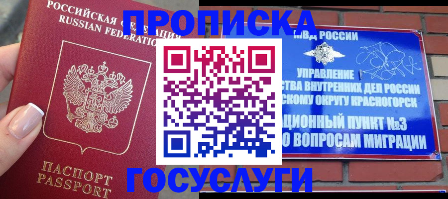 прописка в Северске